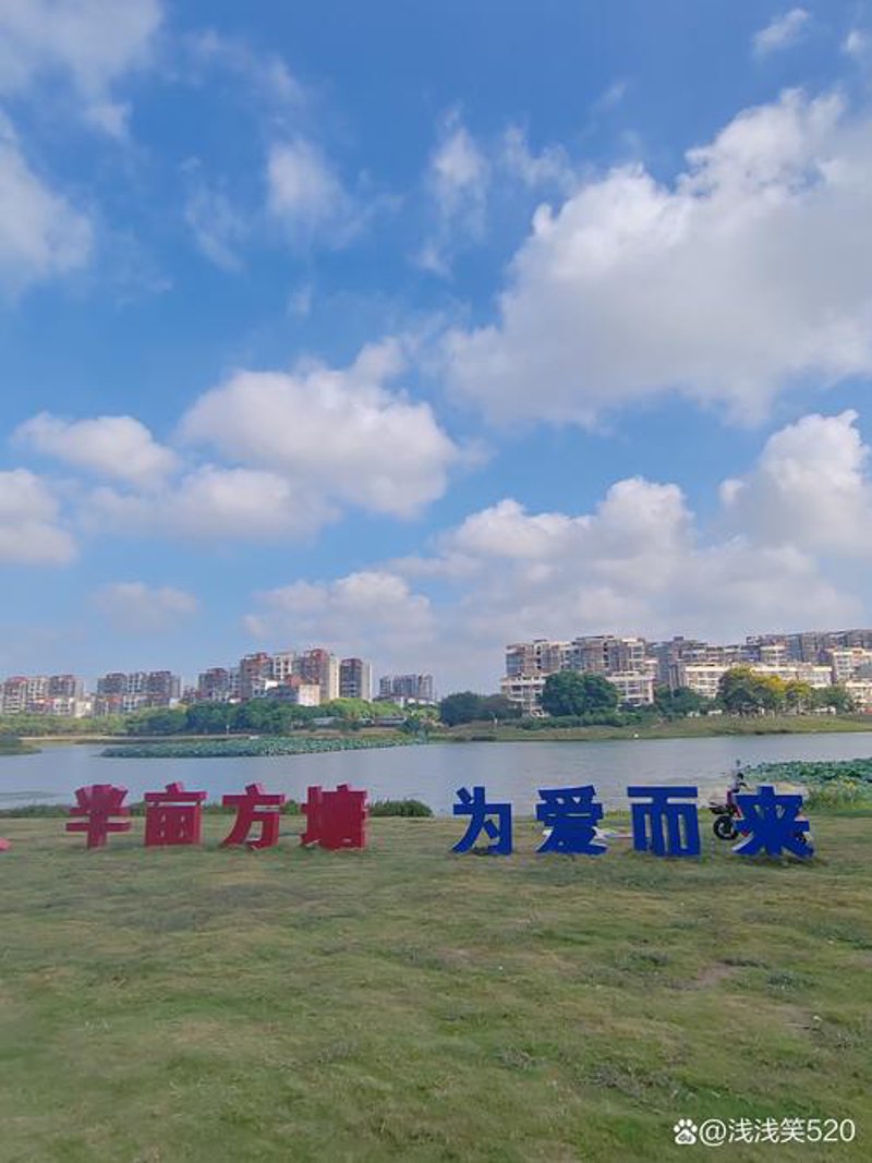 巧用芜湖分类信息平台，轻松掌握城市动态